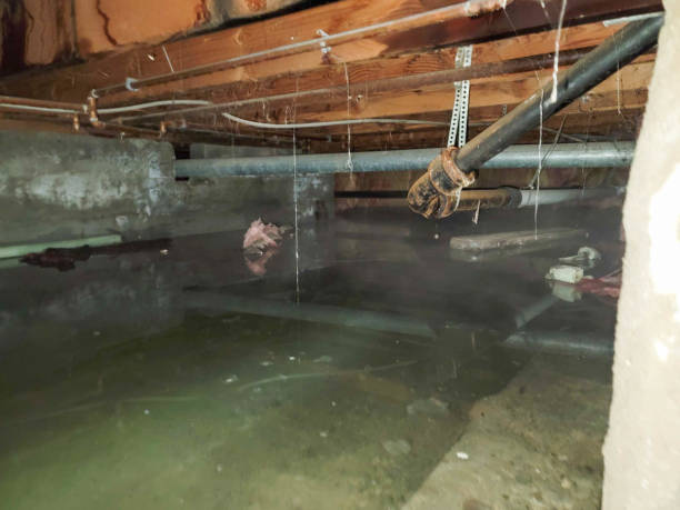 Best Sewage cleanup and water damage restoration  in Reynoldsburg, OH