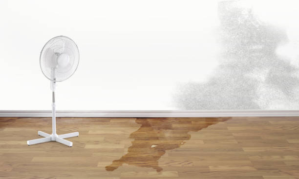Best Flood restoration services  in Reynoldsburg, OH