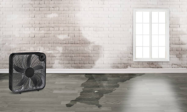 Best Flood damage cleanup  in Reynoldsburg, OH
