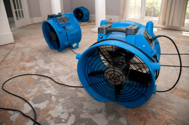 Best Water damage restoration near me  in Reynoldsburg, OH