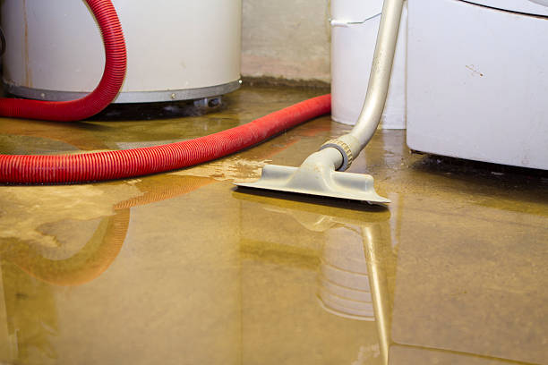 Best Commercial water damage restoration  in Reynoldsburg, OH
