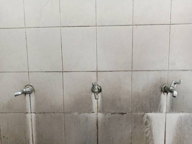 Best Flooded house restoration  in Reynoldsburg, OH
