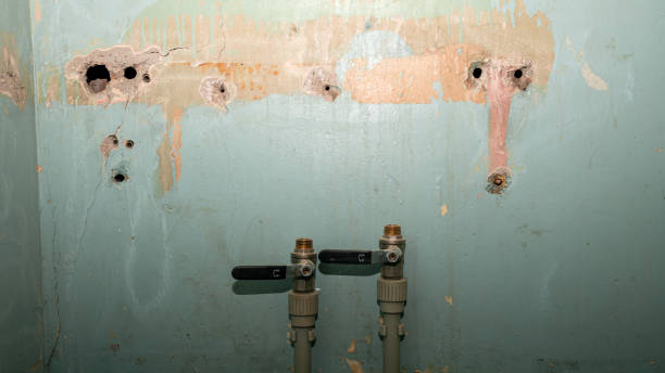 Best Mold removal after water damage  in Reynoldsburg, OH