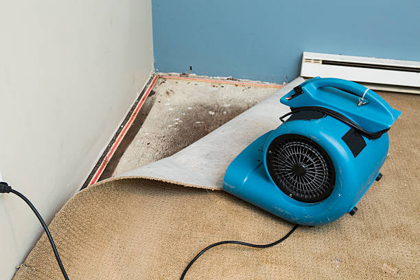 Best Water damage cleanup near me  in Reynoldsburg, OH